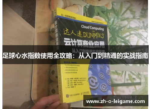 足球心水指数使用全攻略：从入门到精通的实战指南