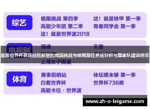 直面世界杯赛场经验断层的成因挑战与破局路径系统分析与国家队建设启示